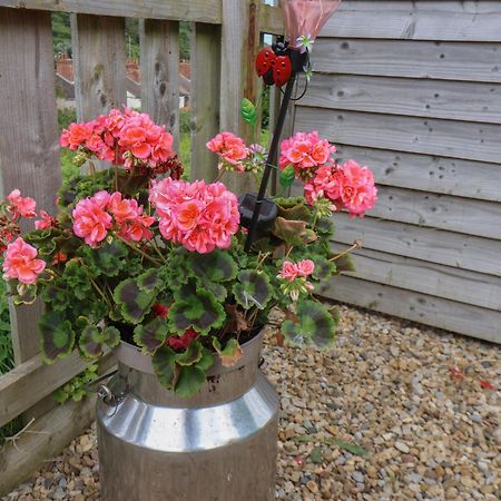 Lady Bird Retreat Villa Saltburn-by-the-Sea Bagian luar foto
