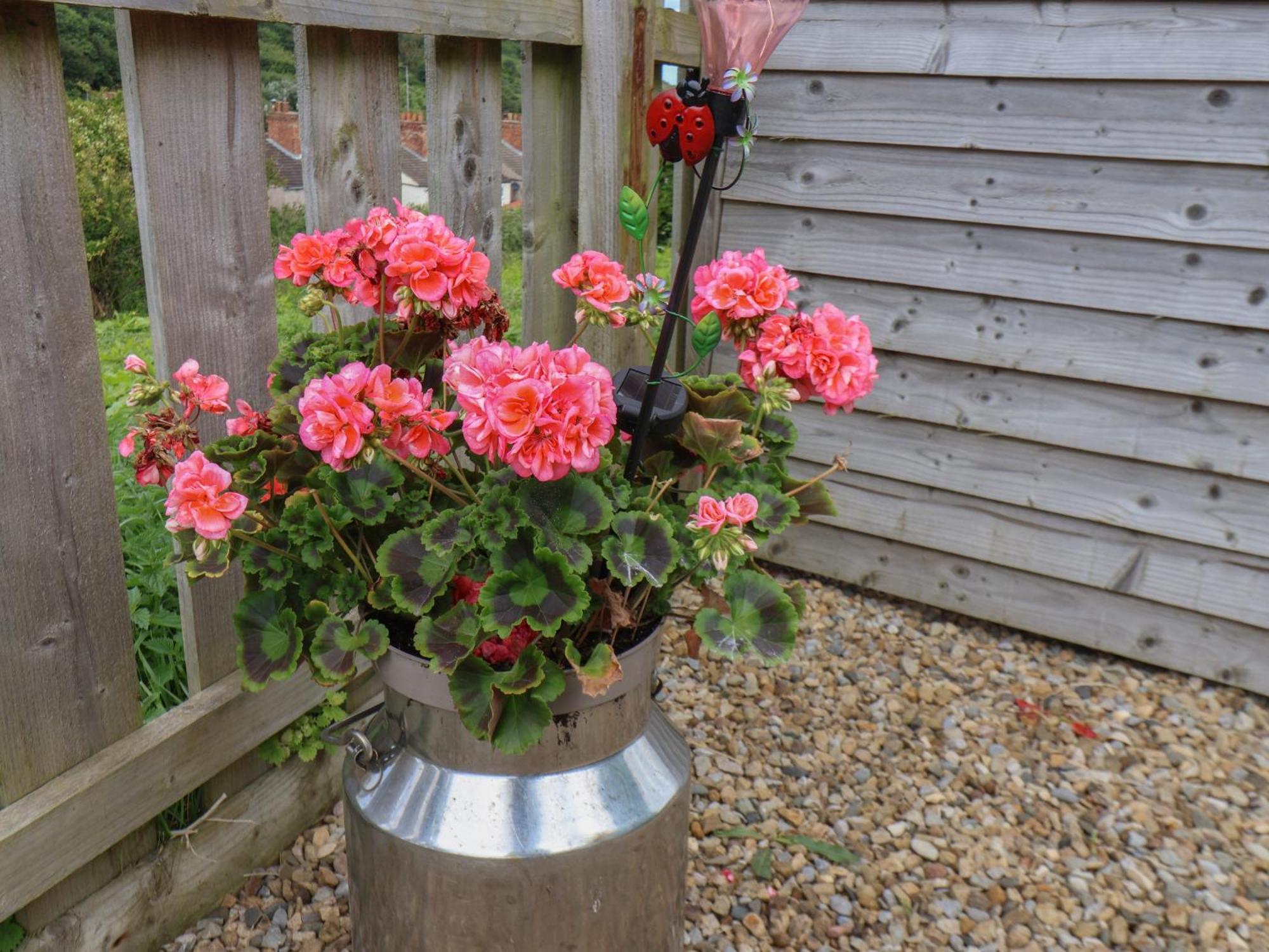 Lady Bird Retreat Villa Saltburn-by-the-Sea Bagian luar foto